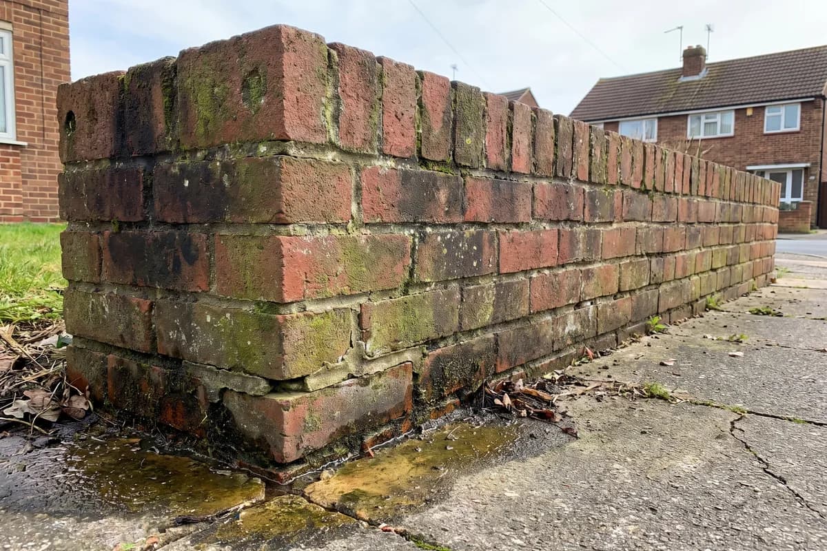 Green staining or damp patches on the brick