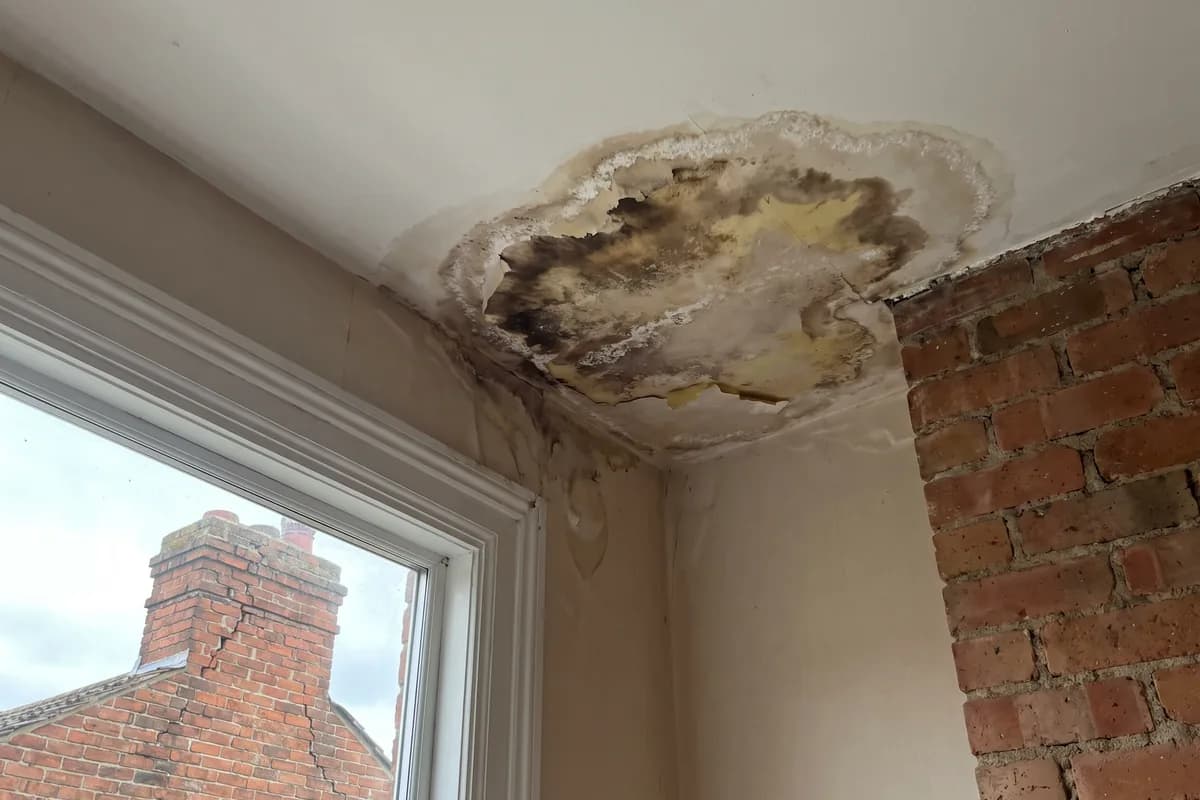Damp staining on a ceiling near the chimney breast