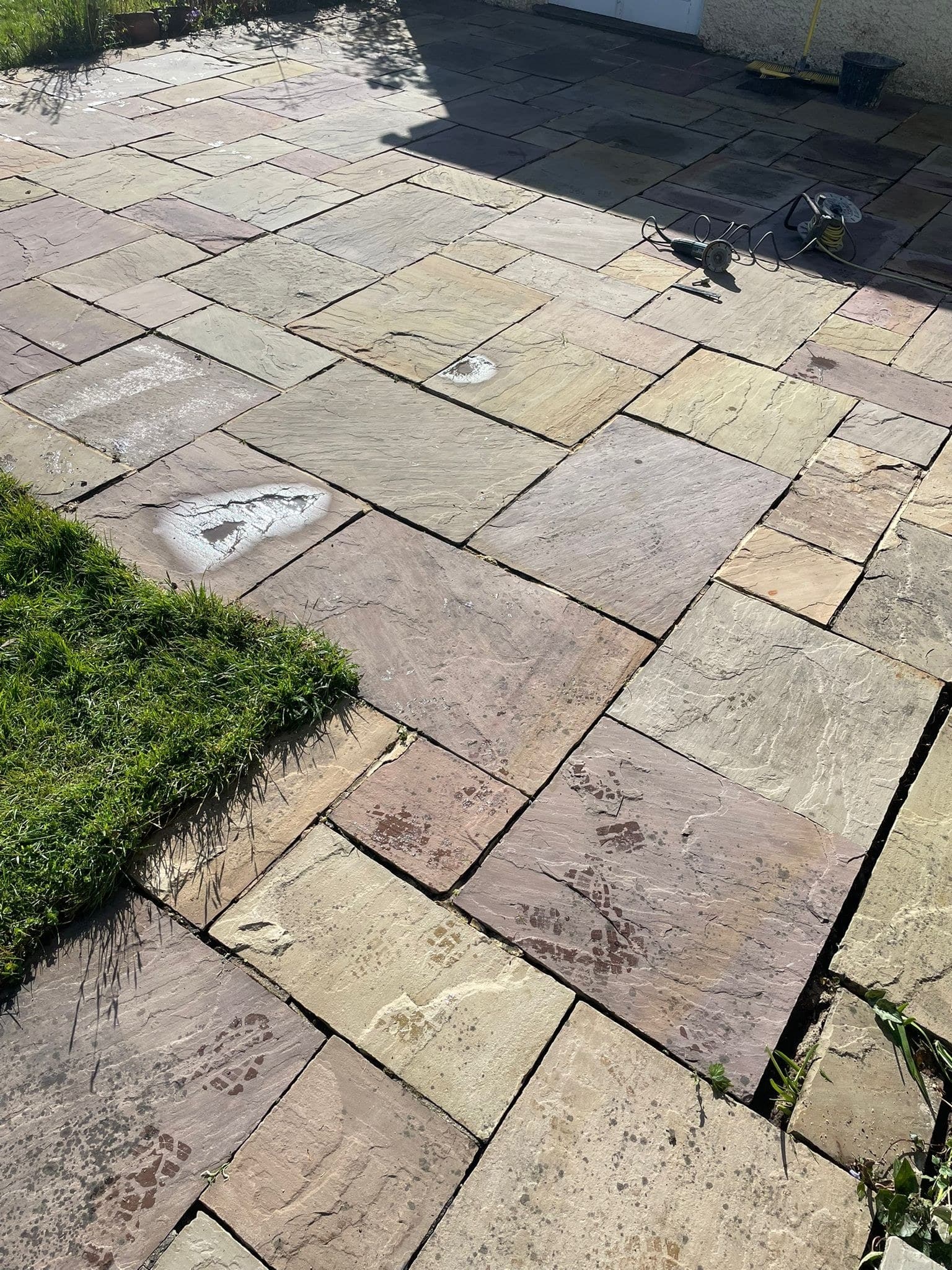 Weeds and moss between the slabs