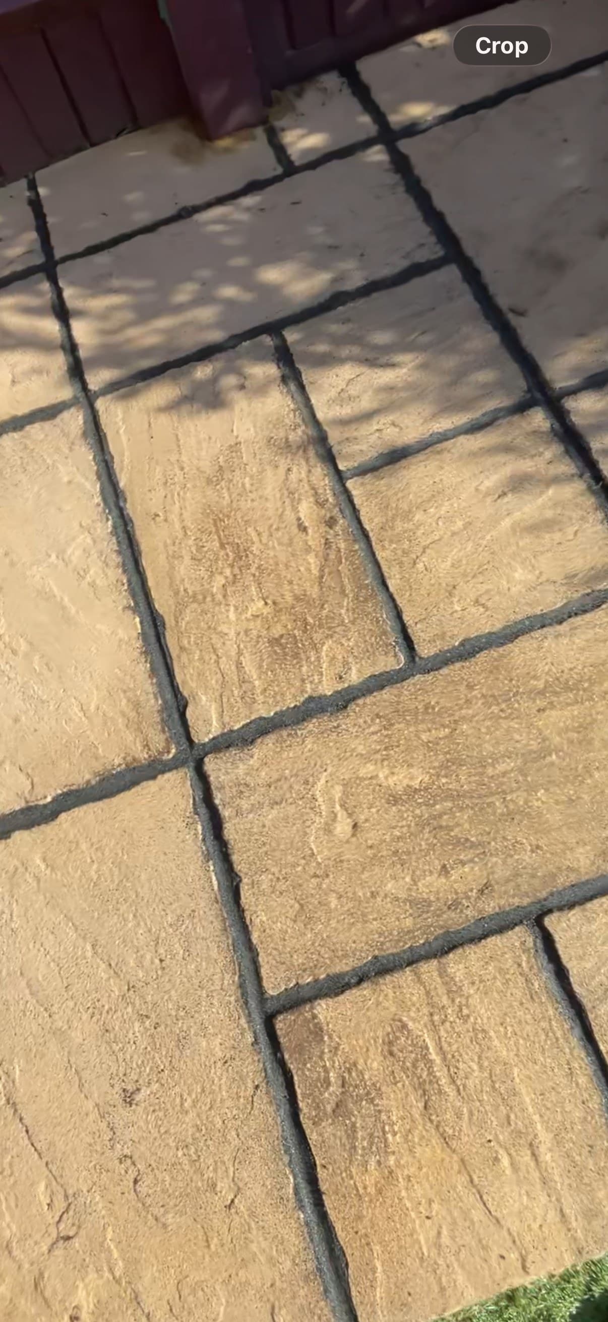 Patio repointing joints close